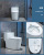 Engineering Hotel Wholesale Adult Toilet Household Small Apartment Ceramic Sanitary Ware Bathroom Siphon Toilet