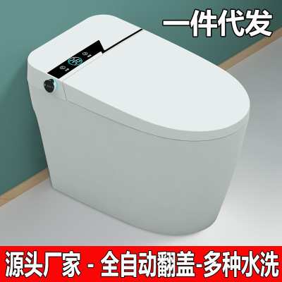 Household Smart Toilet Integrated Waterless Pressure Limit Instant Hot Hip Wash Foam Shield Smart Toilet Automatic