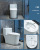 Engineering Hotel Wholesale Adult Toilet Household Small Apartment Ceramic Sanitary Ware Bathroom Siphon Toilet