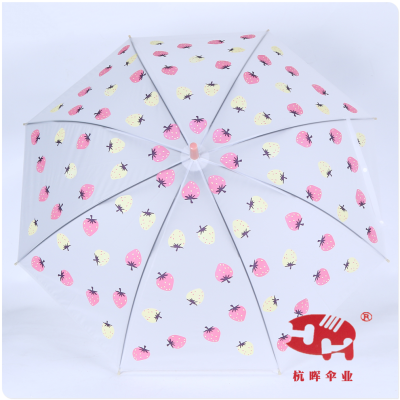 Translucent Straight Handle Small Fresh Ins Style Umbrella Female Portable Long Handle Colorful Solid Color Light Large Automatic Umbrella
