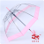 Fashion British Retro Wide-Brimmed Transparent Umbrella European Style Apollo Arch Birdcage Umbrella Long Handle Thickened Wind Resistant