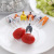 Guyi Creative Cartoon Kitten Puppy Fruit Fork Set Animal Fruit Toothpick Plastic Two Teeth Children's Fruit Fork