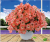 Popular 30x40 Landscape Flowers and Other Plant Series Pet HD Stereo Painting Core Home Crafts Decorative Painting
