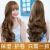 Elastin Perfume-Type Curly Hair Moisturizing Care Volume Fluffy Shaping Repair Care Essence Modeling Lasting Anti-Frizz