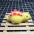New Exotic Creative Tricky Dinosaur Flour Vent Ball Cute Pet and Animal Squeezing Toy Decompression Artifact Vent Toys