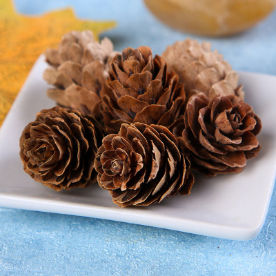 Factory Direct Sales 1-2cm2-3cm Small Larch Fruit Christmas Decorations Natural Dried Flower Props DIY Supplies