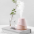 New USB Mini Iceberg Humidifier Cute Pet Small Night Lamp Large Spray Little Fan Household Three-in-One Humidifier