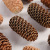 4-12cm Yeddo Spruce Fruit Christmas Tree Bunge Pine Cone Dried Flower Ornaments Christmas Decorations DIY Material Shooting Props