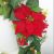 Christmas Rattan Artificial Flower Tree Ornament Outdoor Garland Wreath Pendant Xmas Party Supplies Home Door Stairs Dec