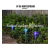 Solar Lawn Lamp Outdoor Solar Ground Lamp LED Solar Pin Lamp Solar Garden Lamp Decoration