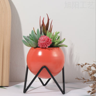 Nordic Ins Iron Golden Iron Frame Hydroponic Vase Decoration Living Room Decoration Dried Flower Arrangement Green Dill Hydroponics