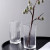 Nordic Glass Vase Transparent and Creative Simple Living Room Net Red Wind Light Luxury and Water Cultivation Flower Arrangement Dried Flower Ornaments
