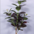  Large Artificial Milan Plant leaves Fake Eucalyptus Silk False Leafs Green Simulation Tree Foliage For Garden Home Deco