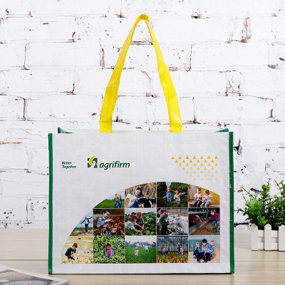 Foreign Trade Pp Film Hand-Carrying Knitting Shopping Bag Wholesale Custom Printed Logo Thickened Storage Plastic Woven Packing Bag