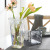 Spanish Style Blown Flower Arrangement Glass Vase Nordic Style Transparent Living Room Decoration Modern Minimalist Hydroponic
