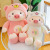 Cartoon Transformation Pig Plush Toy Cute Shapeshift Pig Doll Children Doll Soothing Pillow Factory Direct Sales