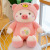 Cartoon Transformation Pig Plush Toy Cute Shapeshift Pig Doll Children Doll Soothing Pillow Factory Direct Sales