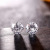 Best Seller in Europe and America Hexaclaw Zircon Stud Earrings Ornament Lady Temperament Earrings for Summer Stud Earrings Factory Wholesale