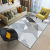 Nordic Geometric Home Living Room Carpet Bedroom Bedside Generation Simple Factory Wholesale Floor Mat