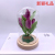 Factory Direct Sales 2022 Model 5 Tulip Preserved Fresh Flower Glass Cover LED Lamp Decoration Festival Gift Decoration