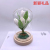 Factory Direct Sales 2022 Model 5 Tulip Preserved Fresh Flower Glass Cover LED Lamp Decoration Festival Gift Decoration