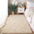Factory in Stock Gilding Imitation Rabbit Fur Bedroom Bedside Blanket Simple Floor Mat Living Room Sofa Cover