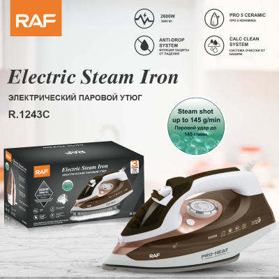 European Standard Household Steam and Dry Iron Handheld Mini Ironing Machine Small Portable Pressing Machines R.1243