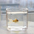 Transparent Small Fish Tank Square Glass Green Dill Hydroponics Container Fish Globe Turtle Jar Thickened Mini Octagonal Square VAT