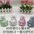 Factory Direct Sales Cartoon Resin Piggy Crystal Ball with Lamp