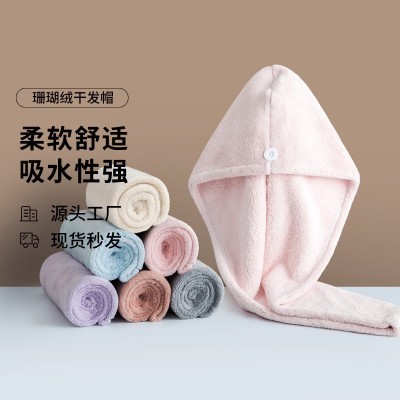 Thickened Water-Absorbing Quick-Drying Soft and Comfortable Thickened Head Towel Women's Bag Edge Coral Velvet Hair-Drying Cap Wholesale