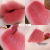 Kakashow ~ Sweet Action Gray Pink Tone Lip Mud White No Fading Matte Finish Plain Lip Lacquer Lipstick