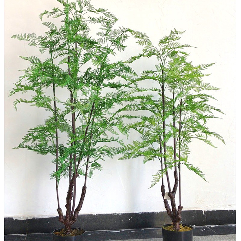 北欧风蕨类仿真植物盆栽摆件批发马尾蕨手感蕨羊齿蕨树家居装饰