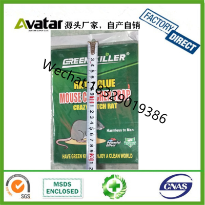 GREEN KILLER QIANGSHUN TOMCAT FREDA GREEN FORC 21*16cm Sticky Board for Mice Rat Catcher Pad mouse booby traps glue trap