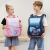 One Piece Dropshipping Student Children Schoolbag Grade 1-6 Spine Protection Backpack Wholesale