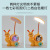 New Cartoon Animal Led Rechargeable Desk Lamp Bedroom Desk Small Night Lamp Student Pencil Sharpener Pencil Sharpener Table Lamp