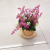 New Artificial Flower Ceramic Basin Lavender Bonsai Fake Flower Decoration Living Room Bedroom Dining Room Decoration