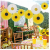 8 Honeycomb Paper Fan Flower Decoration Set Sunflower Theme Party Supplies Paper Fan Flower Background Decoration