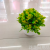 New Artificial Flower White Basin Green Plant Fruit Bonsai Decoration Living Room Bedroom Dining Room Decoration