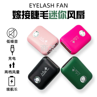 Beauty Eyelash Beauty Tools Little Fan Mini Handheld Portable USB Rechargeable Beauty Salon Grafting Eyelash Hair Dryer