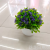 New Artificial Flower White Basin Green Plant Fruit Bonsai Decoration Living Room Bedroom Dining Room Decoration