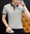 Short Sleeve 2022 Summer New Men's Short Sleeve T-shirt Cotton Thin Business Lapel Men's Polo Shirt Men's Fashion