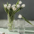 Crystal Vase Glass Vase Hydroponic Flower Container Glass Vase Lucky Bamboo Lily Flower Arrangement Living Room Decoration