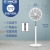 Yangzi Floor Fan Electric Fan Home Office Floor Fan Vertical 12-Inch Electric Fan Bedroom Falling Fan Wholesale