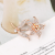 Best Seller in Europe and America Exquisite Diamond Dragonfly Flower Brooch Korean Style High-End Corsage AliExpress Wish Clothing Accessories Pin