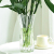 Glass Vase Crystal Vase Living Room Home Ornaments Lily Flower Arrangement Glass Vase Hydroponic Flower Pot