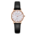 New Foreign Trade Women's All-Match Leather Watch Student Casual Digital Bracelet Watch Quartz Watch Spot Wholesale