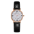 Foreign Trade Fashion Women's All-Match Leather Watch Student Casual Digital Bracelet Watch Quartz Watch Spot Wholesale