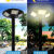 Solar Street Lamp High Pole Super Bright Community Park Greening Villa New Rural Road Landscape Waterproof Garden Lamp