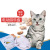 Amazon New Electric Cat Toy Cat Turntable Crazy Amusement Plate Cat Catch Mouse Doggs Pet Supplies