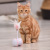 Contail Meow Car Electric Cat Toy Cat Cat Teaser Feather Smart Cat Self-Hi Tumbler Toy